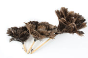 Premium Ostrich Feather Dusters - Ostrich Africa