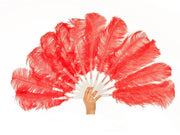Burlesque Feather Fan - Single Layer - Ostrich Africa