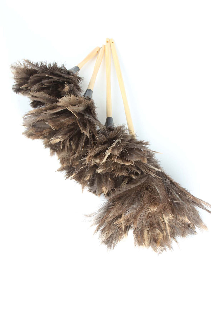 Economy Feather Duster - Ostrich Africa