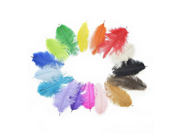 Ostrich Confetti Feathers - Ostrich Africa