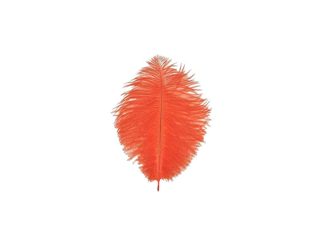 Ostrich Drab Feathers Medium Ostrich Africa