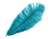 Ostrich Drab Feathers - Short - Ostrich Africa