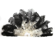 Burlesque Feather Fan - Double Layer - Ostrich Africa