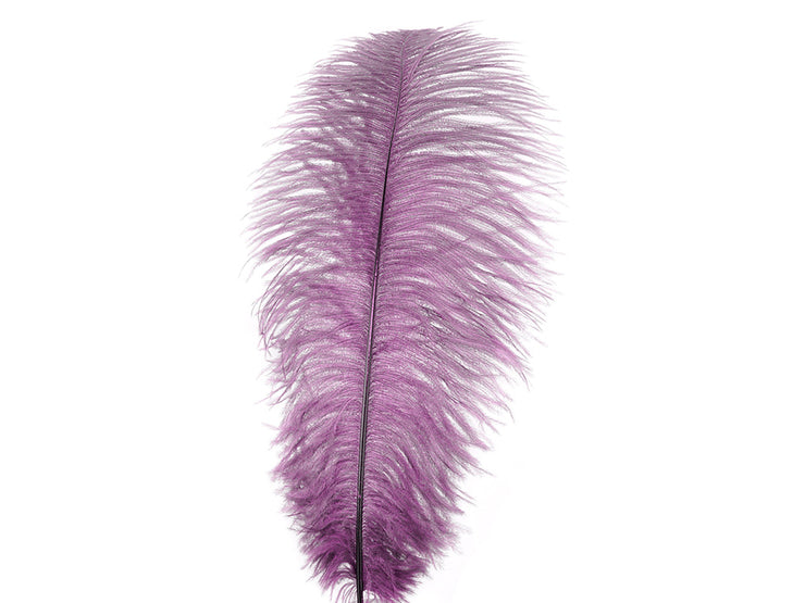 Ostrich Long Drab Feathers - Ostrich Africa