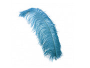 Ostrich Plumes - Long - First Quality - Ostrich Africa