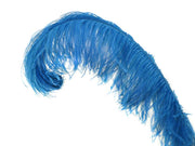 Ostrich Plumes - Long - First Quality - Ostrich Africa