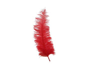 Ostrich Spadonna Feathers - Ostrich Africa