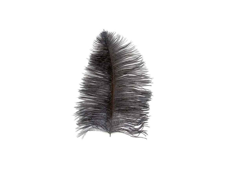 Ostrich Plume - Short - Ostrich Africa